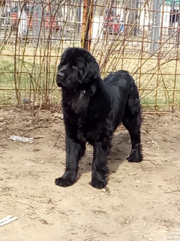 Фотография № 223877