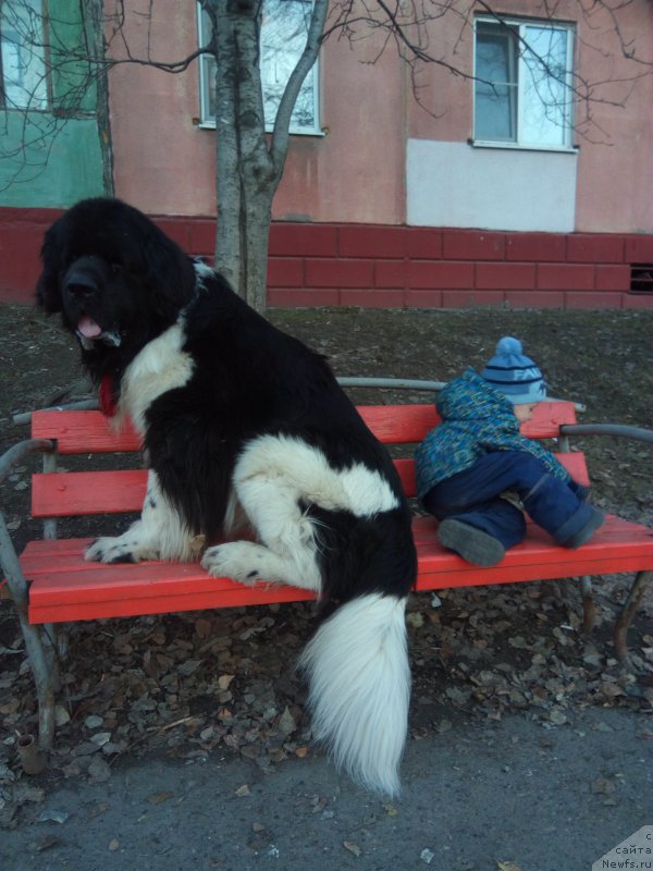 Фотография № 223895