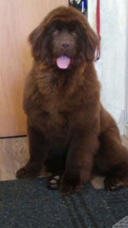 Фотография № 223899