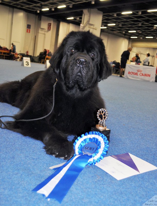 Фотография № 223914