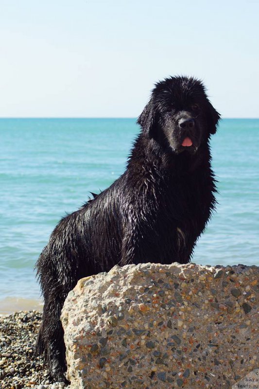 Фотография № 223917