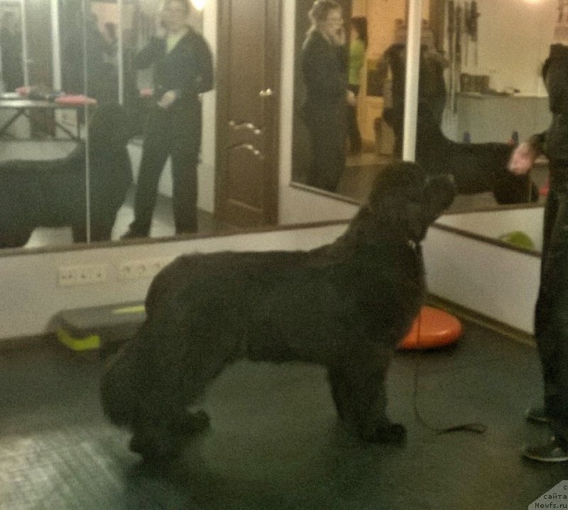 Фотография № 223923