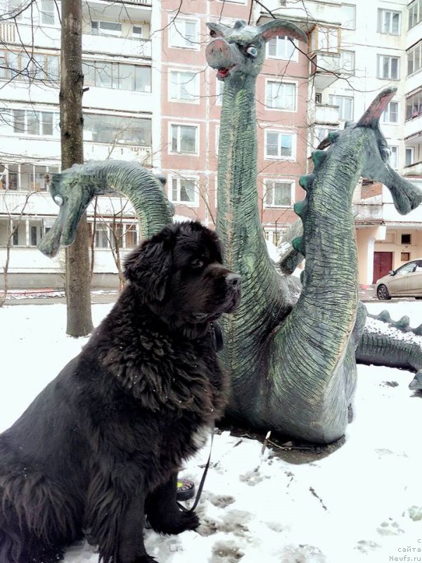 Фотография № 223928