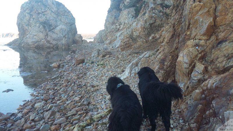 Фотография № 223941