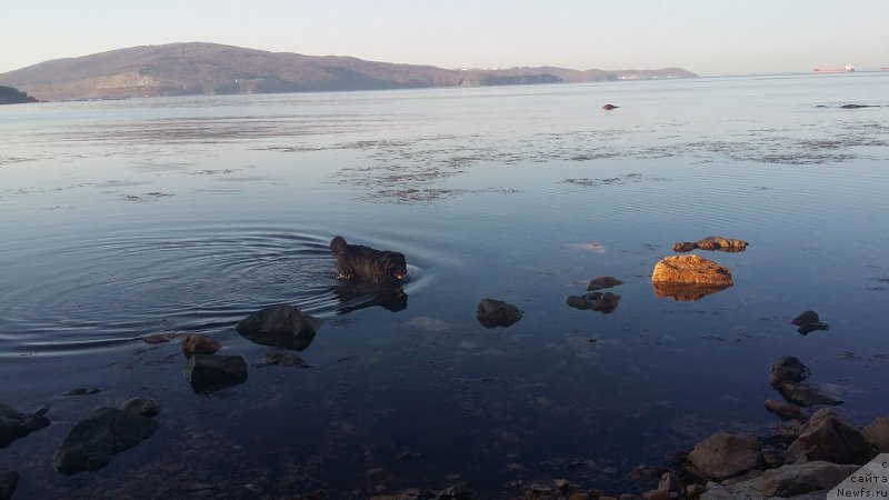 Фотография № 223942