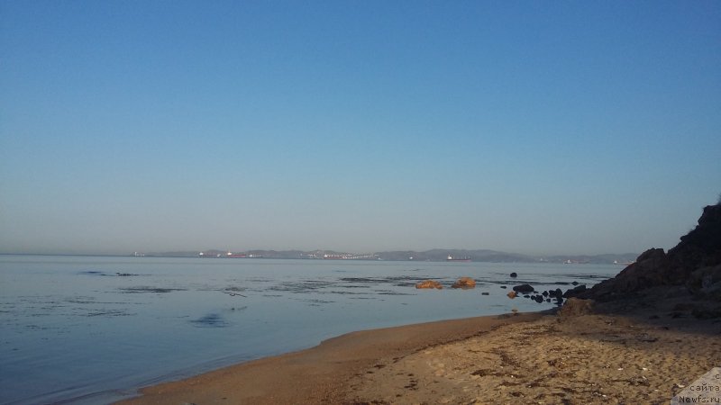 Фотография № 223943