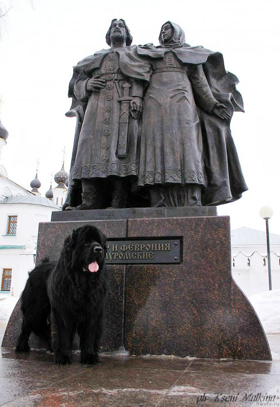 Фото: Потап олан