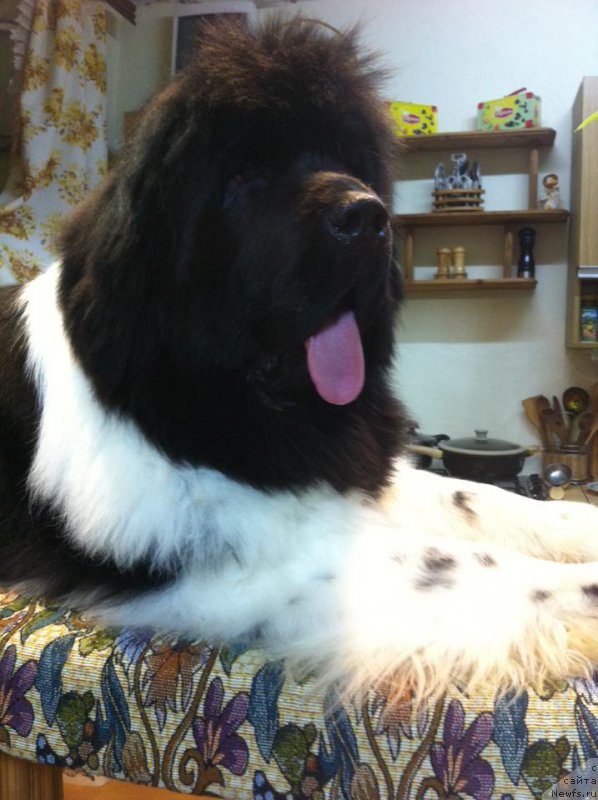 Фотография № 224035