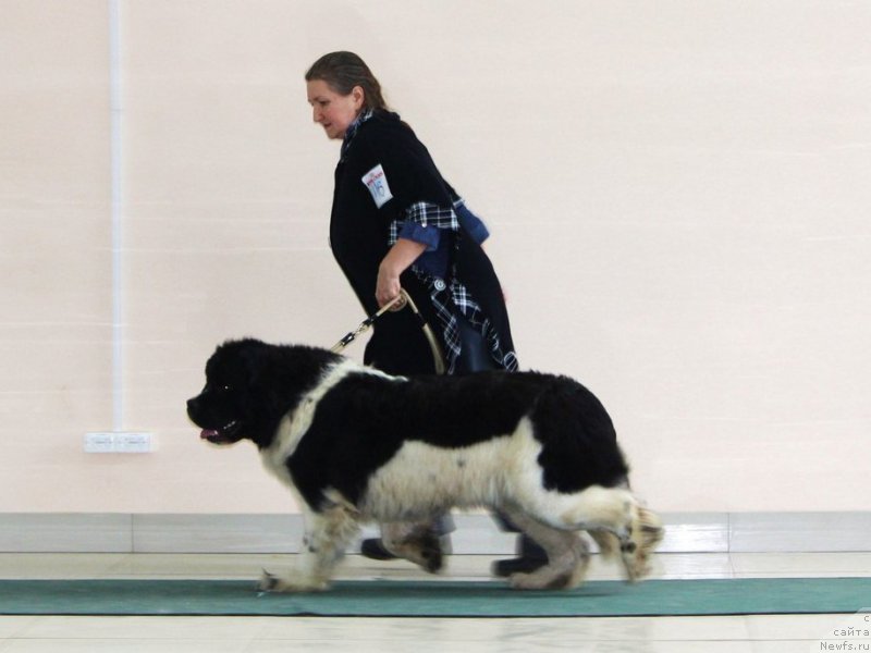 Фотография № 224041