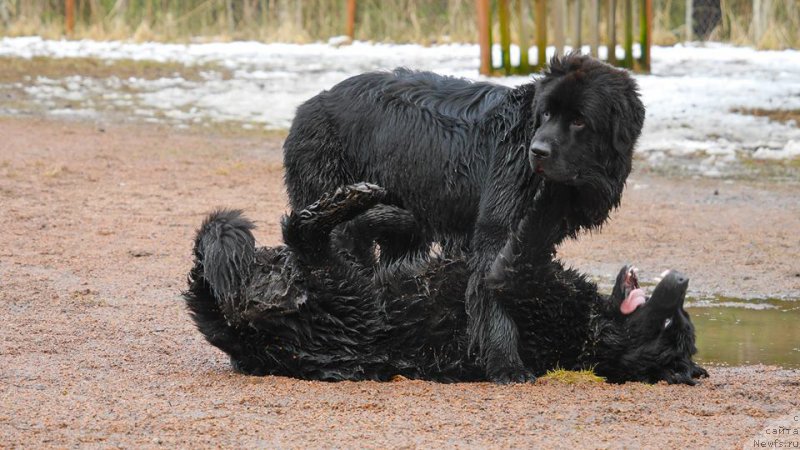 Фотография № 224047