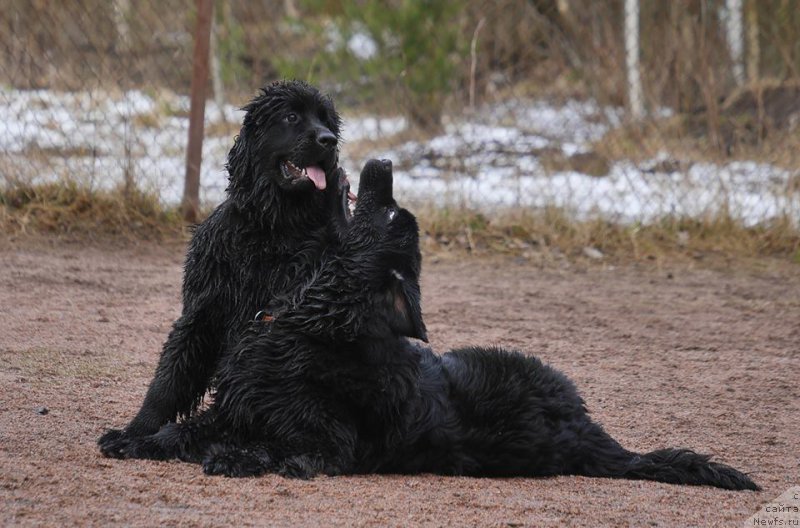 Фотография № 224049