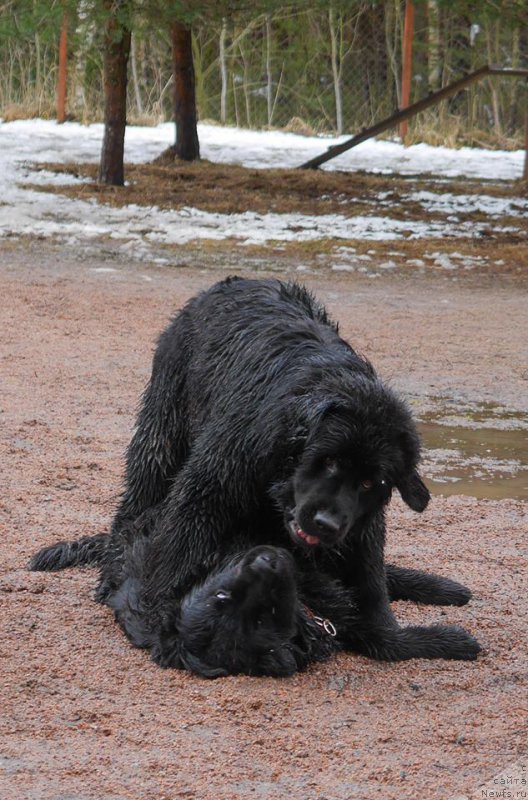 Фотография № 224050