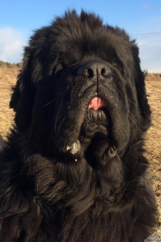 Фотография № 224051