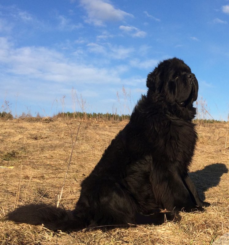 Фотография № 224052