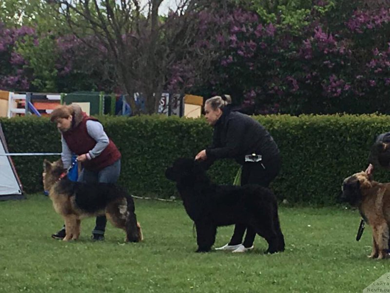 Фотография № 224055