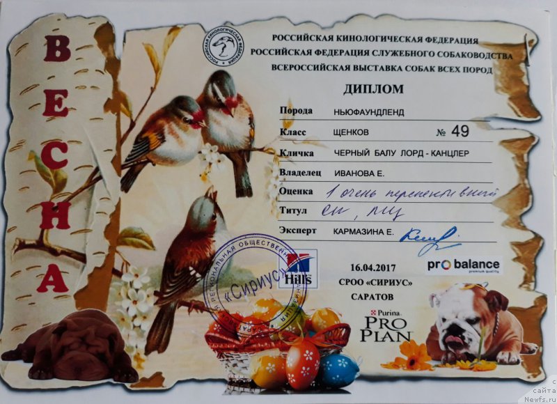 Фотография № 224084