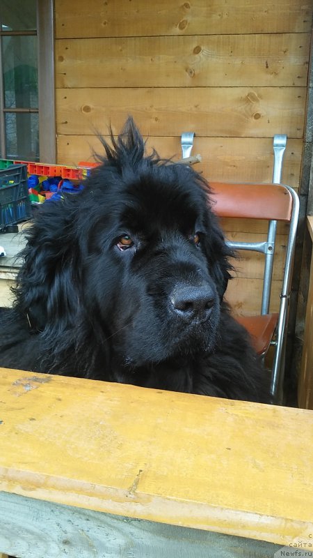 Фотография № 224096