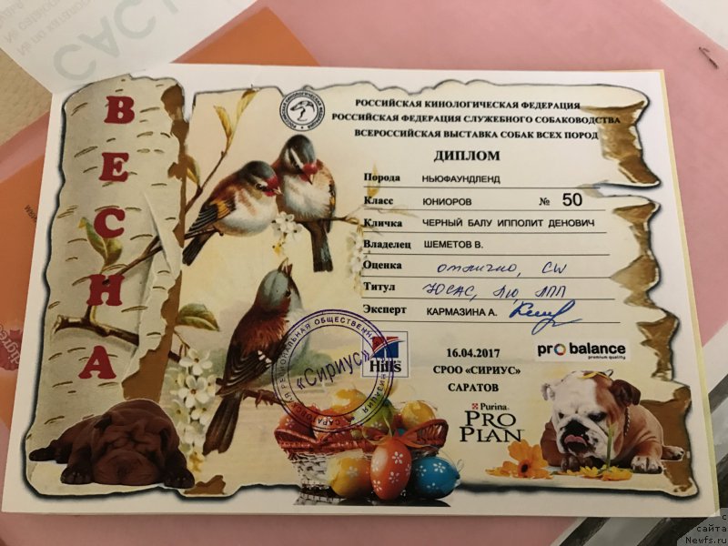 Фото: Elena Pshenichnaya (Елена Пшеничная)