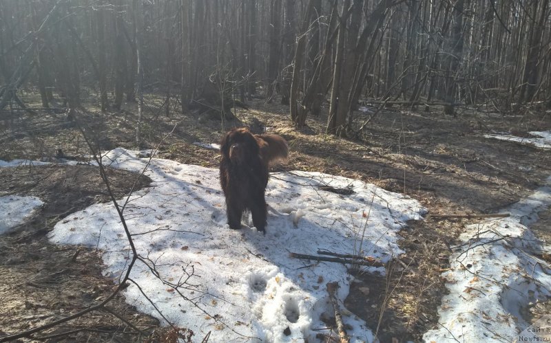 Фотография № 224133