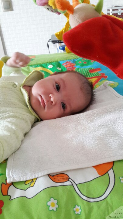 Фотография № 224145