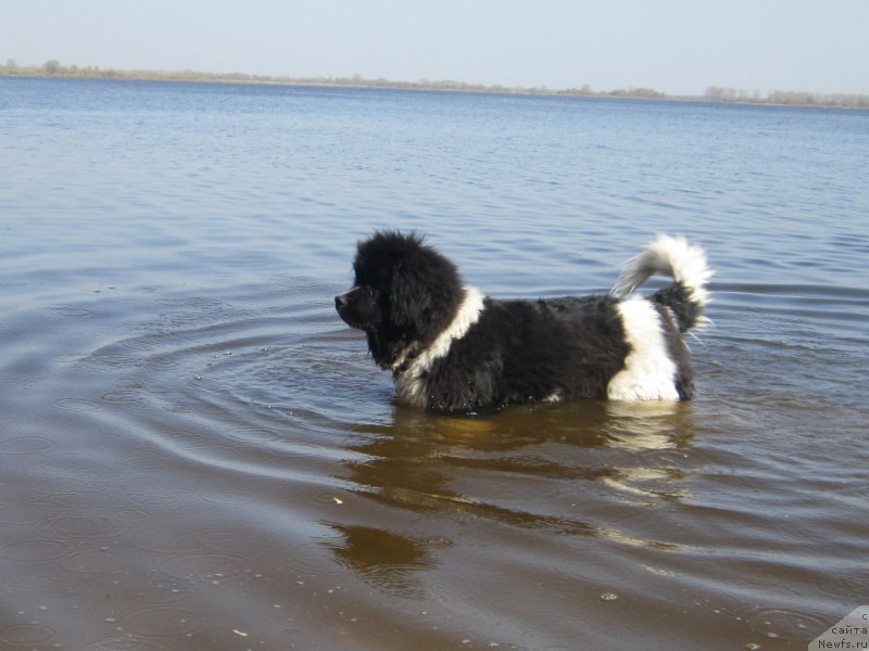 Фотография № 224159