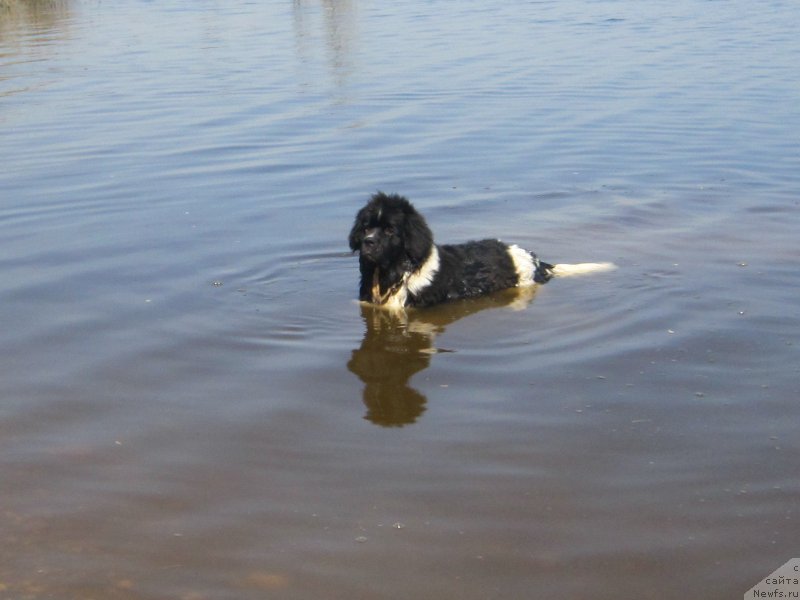 Фотография № 224161