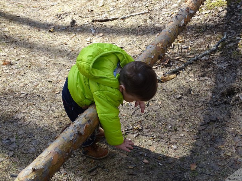 Фотография № 224173