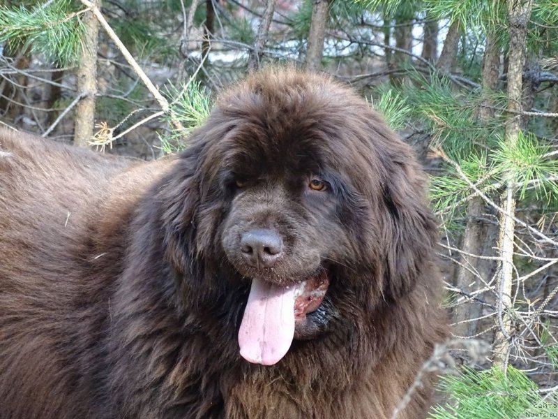 Фотография № 224175