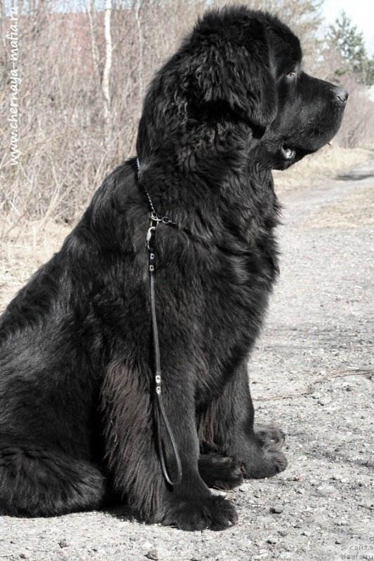 Фотография № 224176