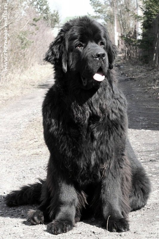 Фотография № 224177