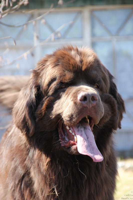 Фотография № 224182