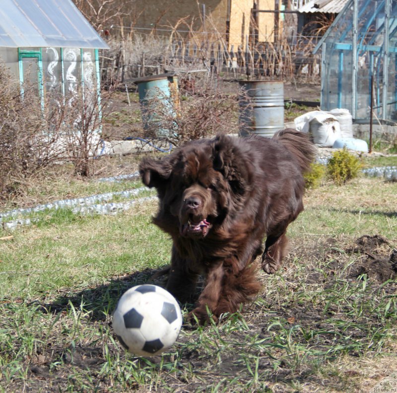 Фотография № 224183