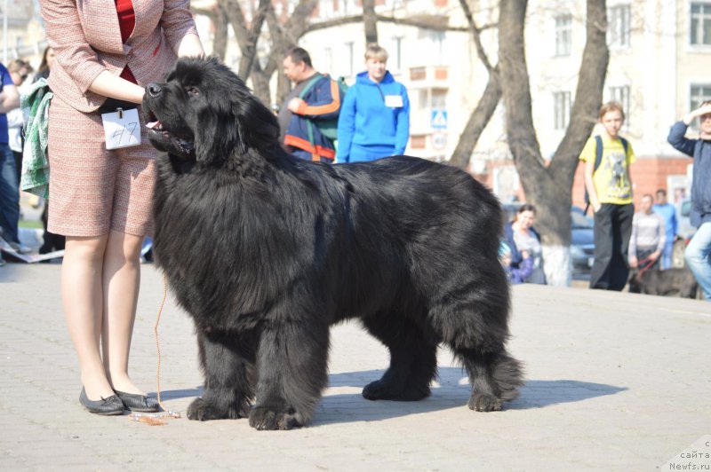 Фотография № 224211