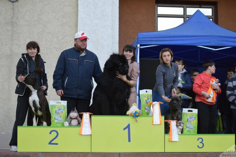 Фотография № 224220