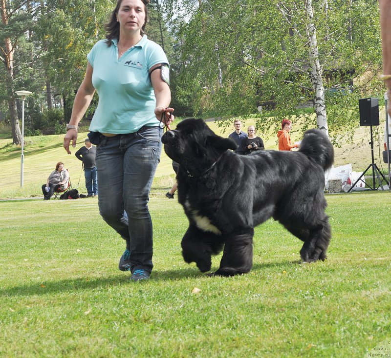 Фотография № 224226