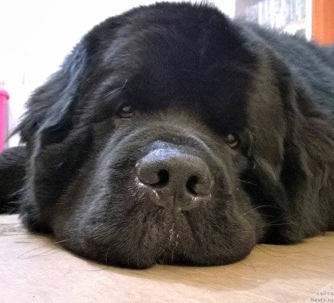 Фотография № 224244