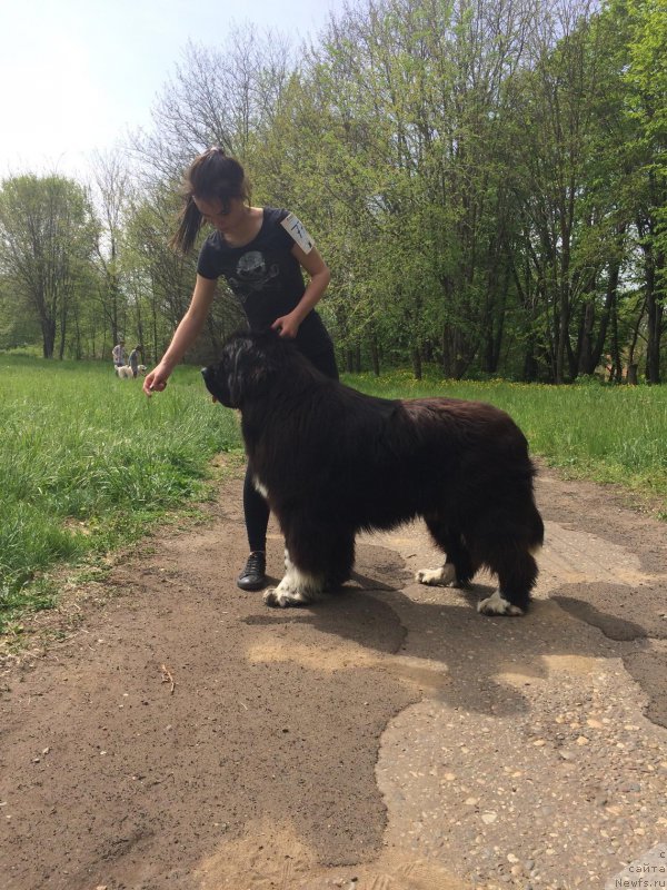 Фотография № 224246