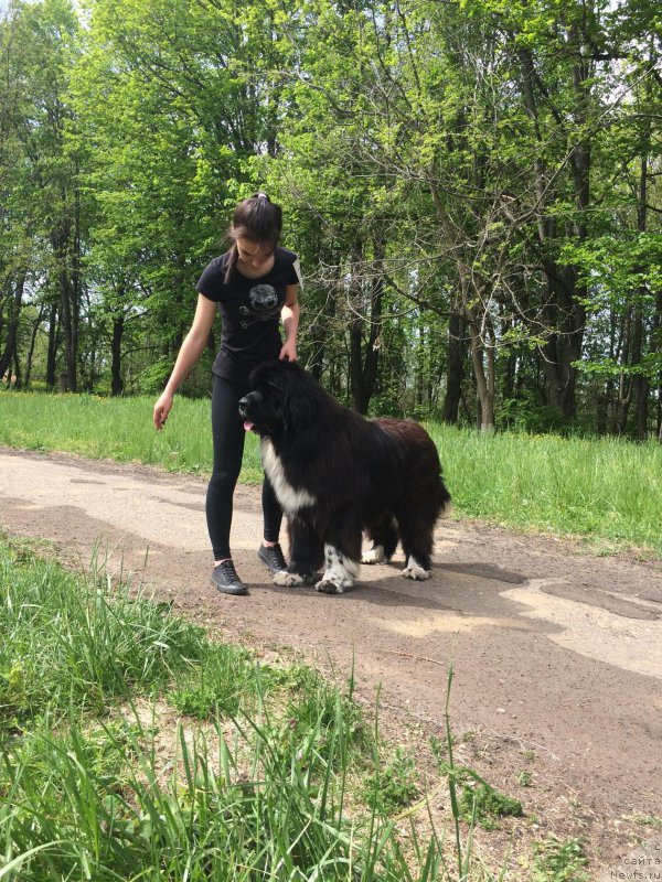 Фотография № 224247