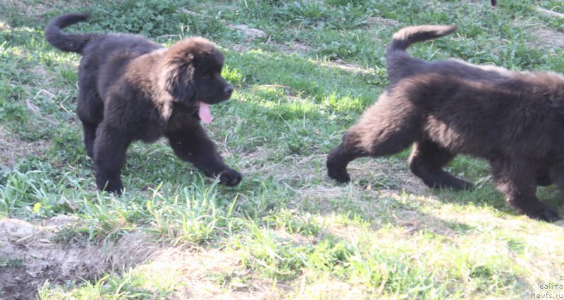 Фотография № 224257