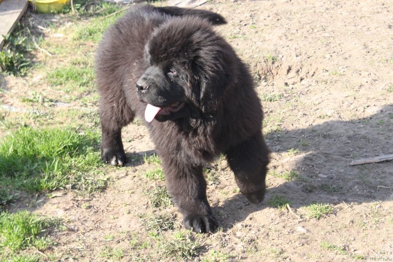 Фотография № 224262