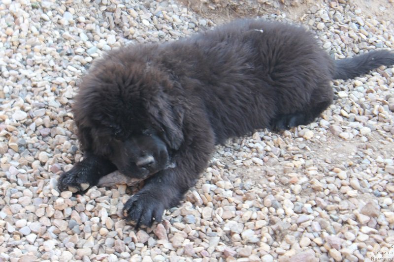 Фотография № 224263