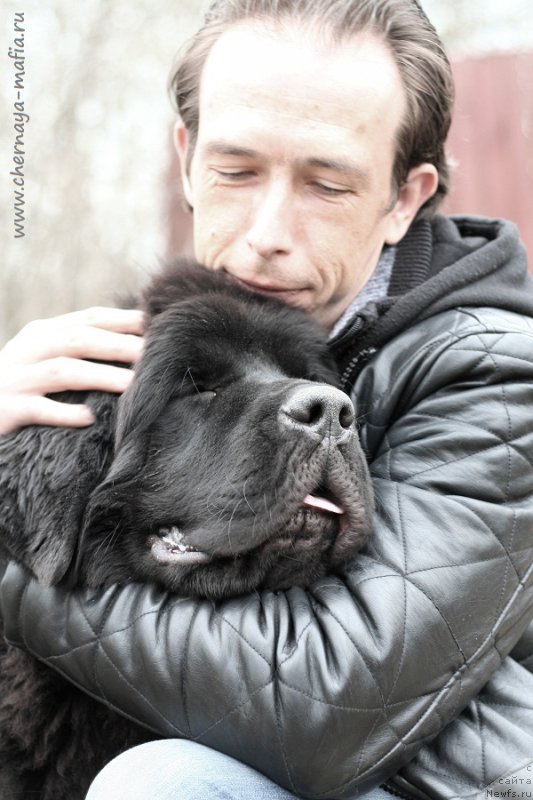 Фотография № 224270