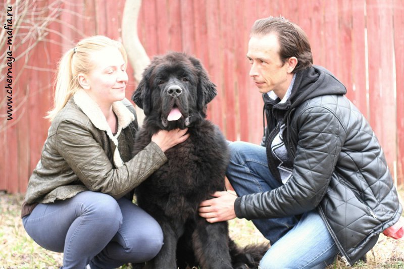 Фотография № 224271