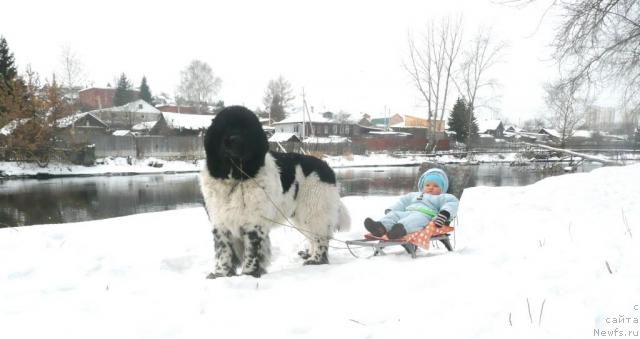 Фотография № 22428