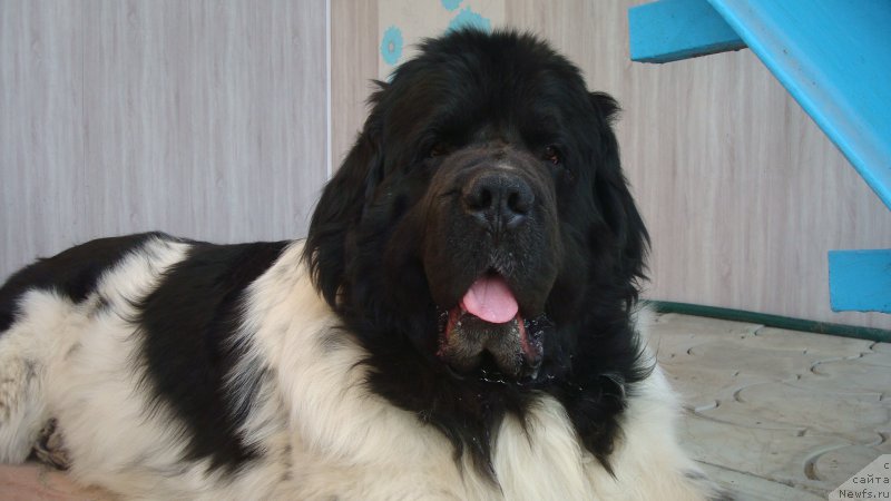 Фотография № 224280