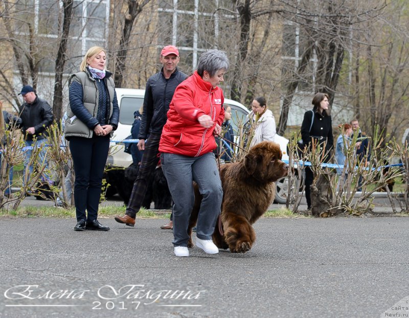 Фотография № 224292