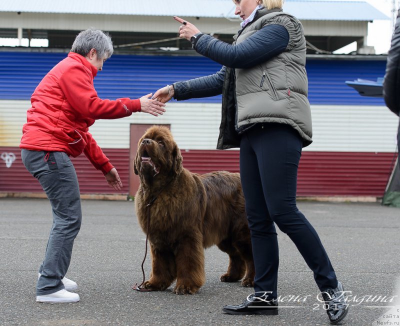 Фотография № 224293