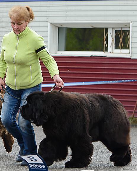 Фотография № 224316