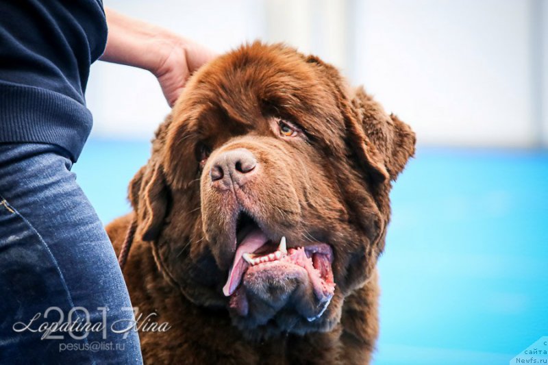 Фотография № 224317