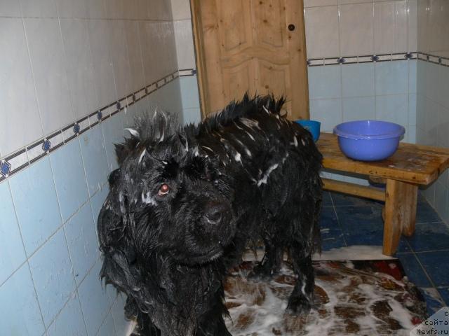 Фотография № 22433